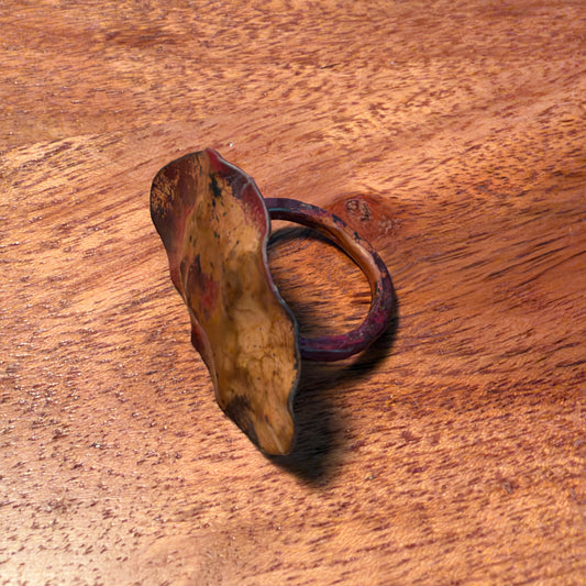 Lichen ring