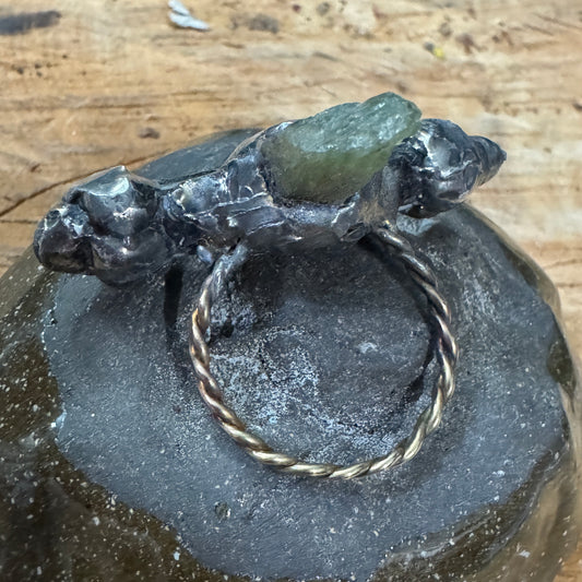Spine Seed Ring